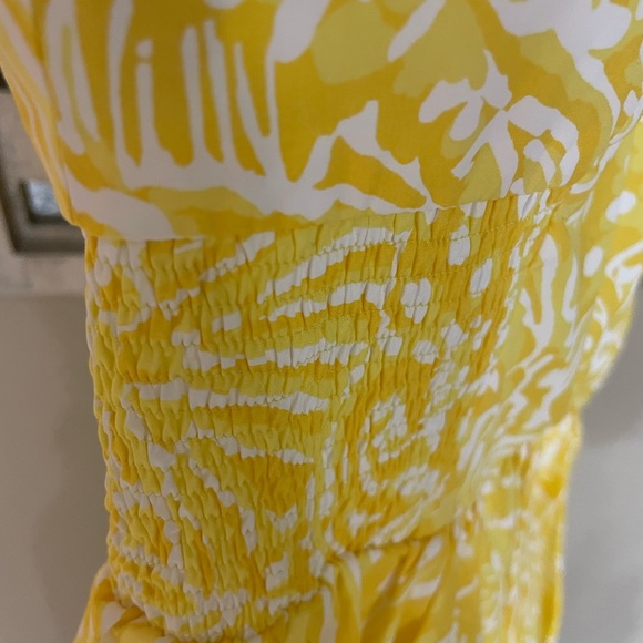 NWT!! Lilly Pulitzer Christine dress - Picture 5 of 7